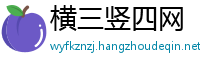 横三竖四网